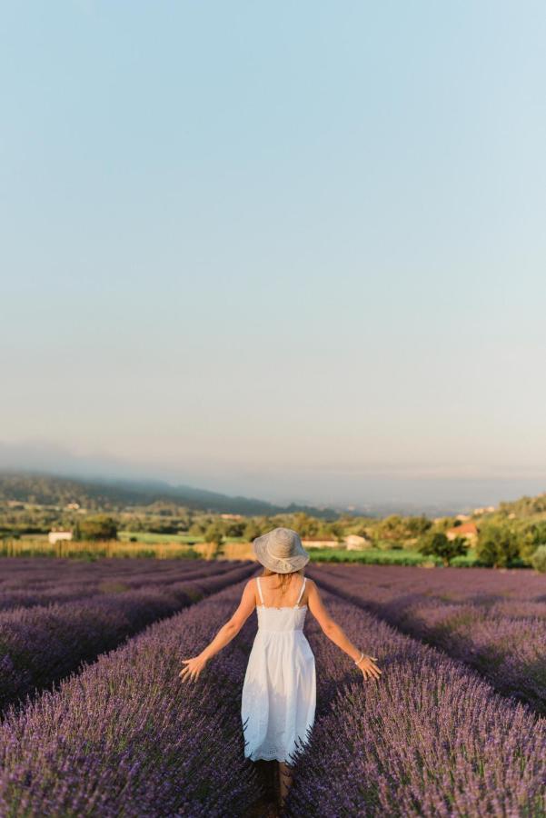 La Petite Ruche, 1 Bedroom Gite In The Luberon Апт Экстерьер фото